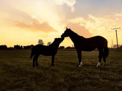 1-misto-ucitele-Vanda-Kostakova (1)