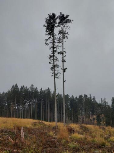 1.-misto-1.-st.-Radek-Jirku (1)