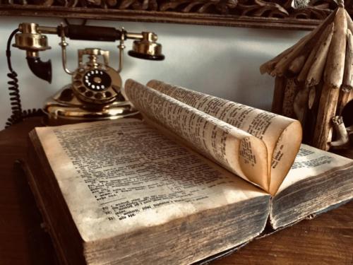 1. místo 1. st. (Nelly Kalinová) (1)