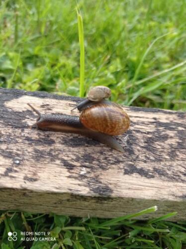 2.-misto-2.-st.-Tereza-Persy (1)