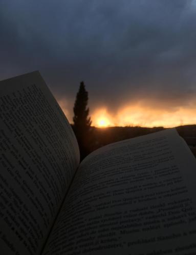 2. místo 2. st. (Natálie Lipoldová)