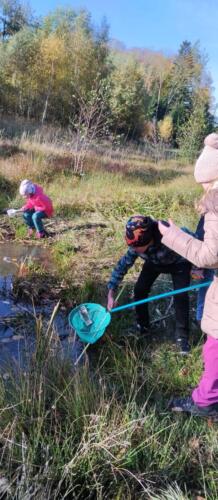 3-...holky-lovily...