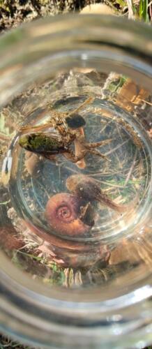 7-Nebojte-se-jen-se-podivame-a-zase-vas-pustime...