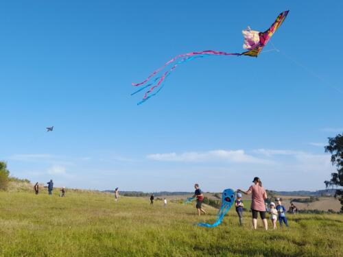 A-uz-leti-motyli-drak