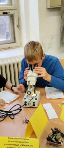 Badame-a-zkoumame...