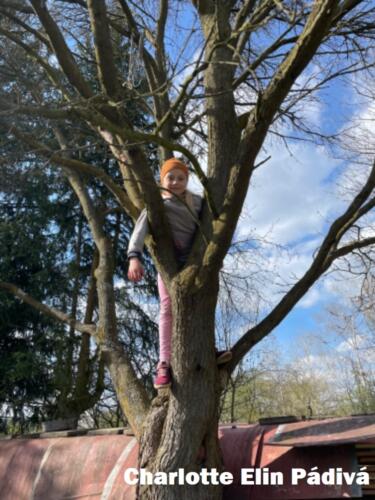 Charlotte-Elin-Padiva