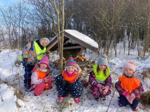 Fotka-s-plnym-krmelcem. (1)