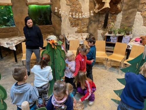 Hledame-spravny-stromek