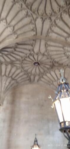 IMG 20221206 110421 (1)