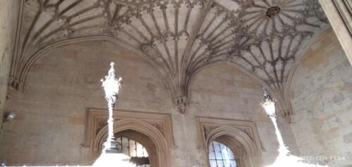 IMG 20221206 110425 (1)