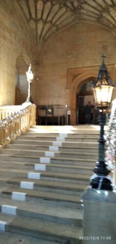 IMG 20221206 110550 1 (1)