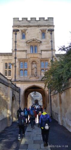 IMG 20221206 113544 (1)