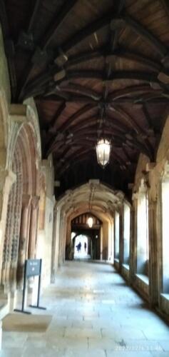 IMG 20221206 114619 (1)