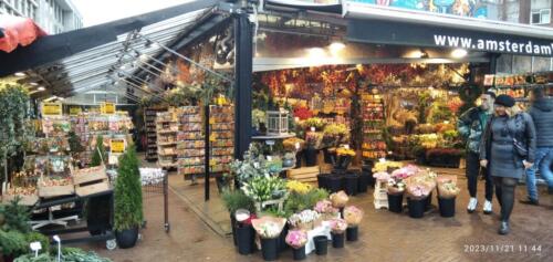 IMG 20231121 114442 (1) (1)