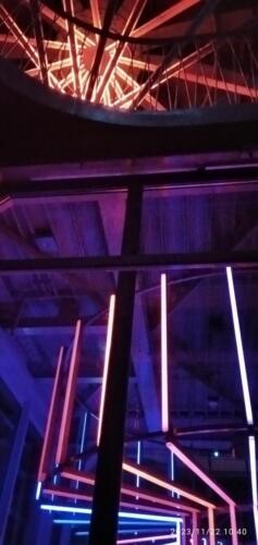 IMG 20231122 104052 (1) (1)