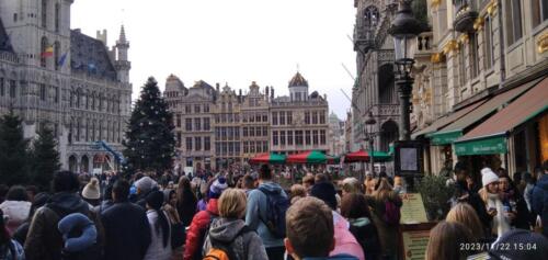 IMG 20231122 150452 1 (1)