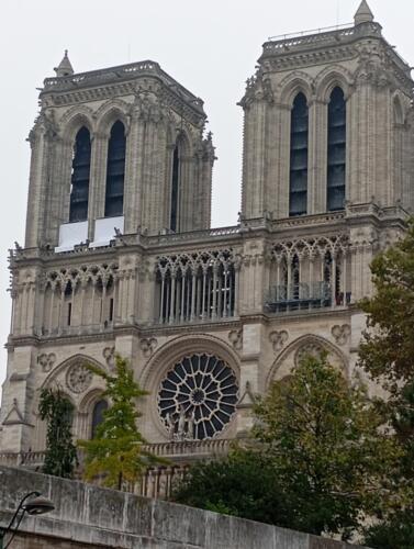 IMG 20241105 105452