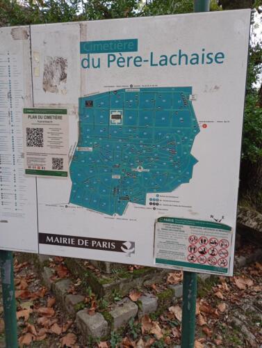 IMG 20241107 090650