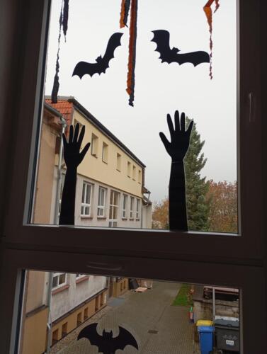 IMG 20251023 084203 (1)