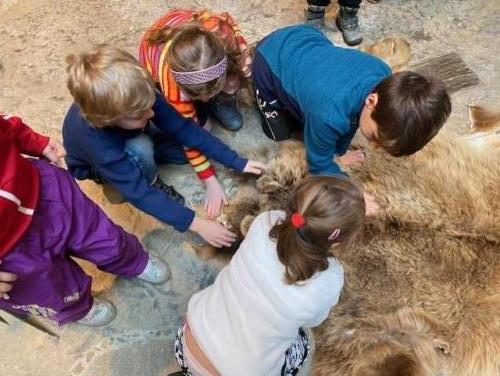 Jake-zviratko-to-bylo