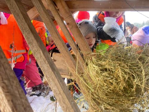 Krmelec-jsme-naplnily-senem-jablicky-a-zrnim. (1)