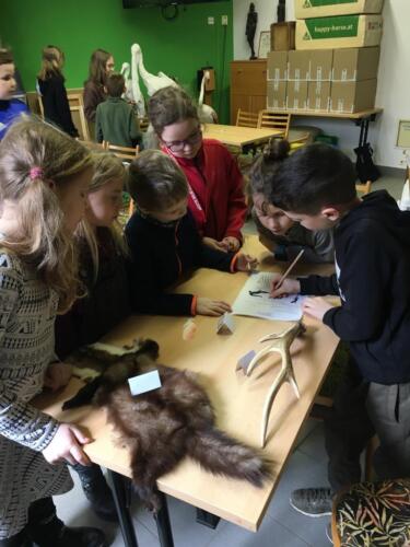 Kterym-zviratkum-to-asi-patri (1)