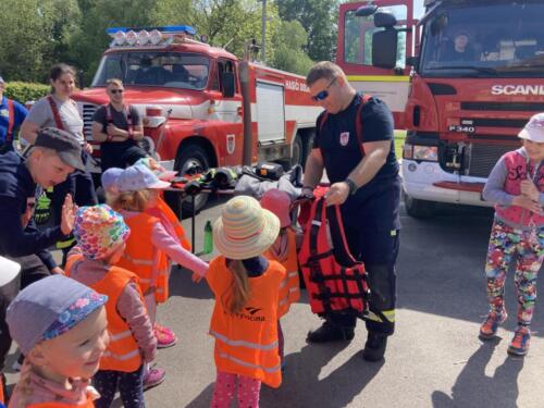 Moc-se-nam-den-s-IZS-libil.