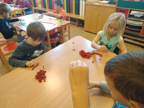 Navlékání jeřabin