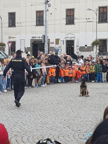 Policejnim-pejskum-jsme-fandili-nejvic...