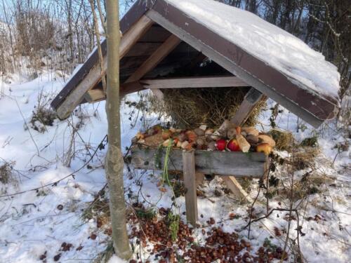 Popraly-jsme-zviratkum-Krasne-Vanoce. (1)