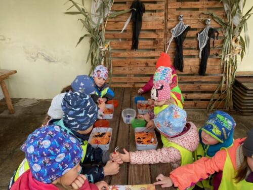 Pracujeme-s-pinzetou