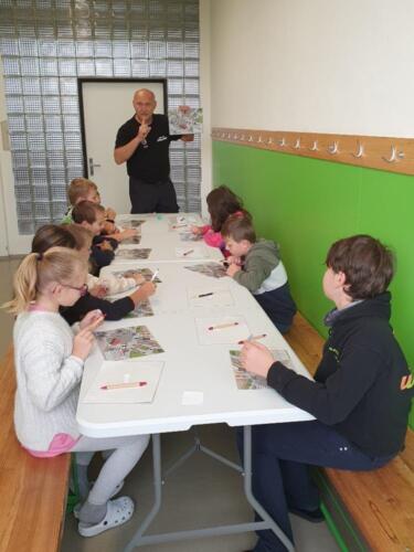 Pravidla-silnicniho-provozu