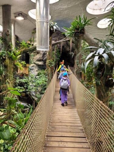 Prosli-jsme-i-dzungli... (1)