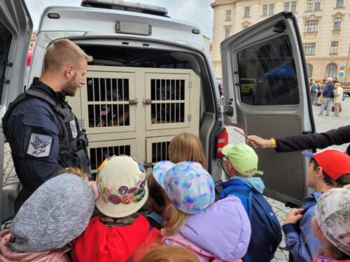 Psi-stenatko-a-zajimavy-vyklad...