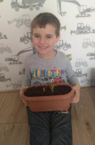 Pracujeme pilně jako včeličky