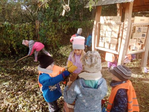 Drakobraní - projektový den