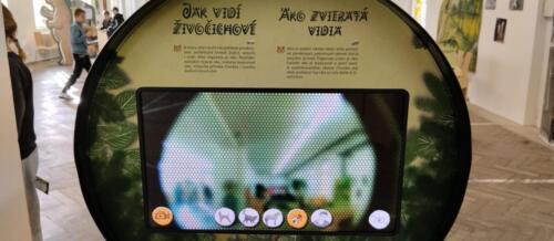 Takhle-pry-vidi-vcela...