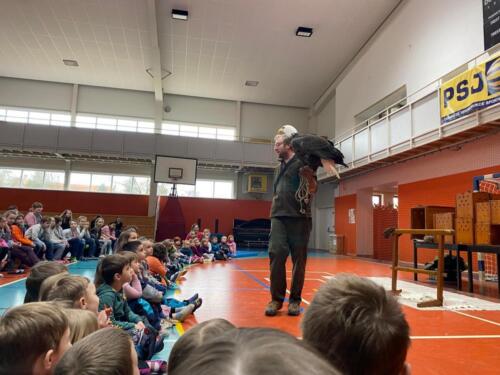 Videli-jsme-i-Orla-belohlaveho