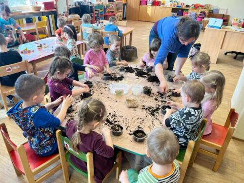 Vstavej-seminko-holala