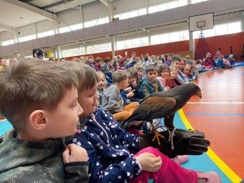 Vyzkouseli-jsme-si-to-na-vlastni-kuzi.