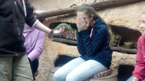 Sedmáci v ZOO Jihlava