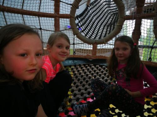 Návštěva Robinsona