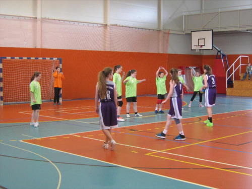 Házená – okresní a krajské kolo mladších žákyň