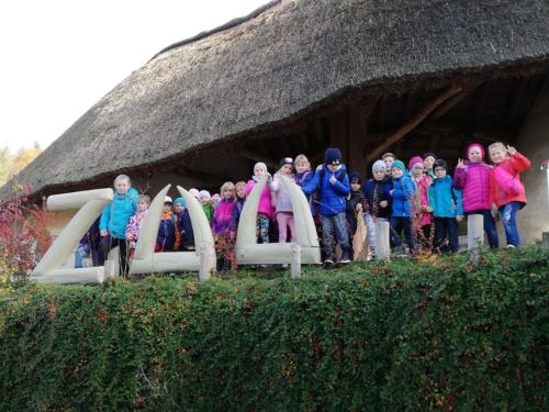 Projektové vyučování v ZOO