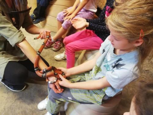 Druháci a třeťáci se vzdělávali v jihlavské zoo