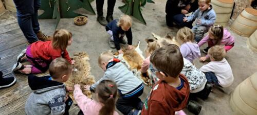 kocka-liska-a-jezevec