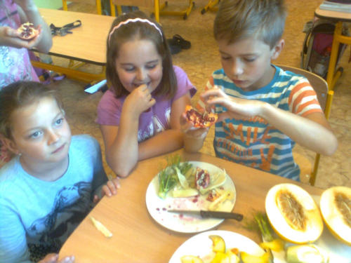 Ochutnávkové koše projektu Ovoce do škol