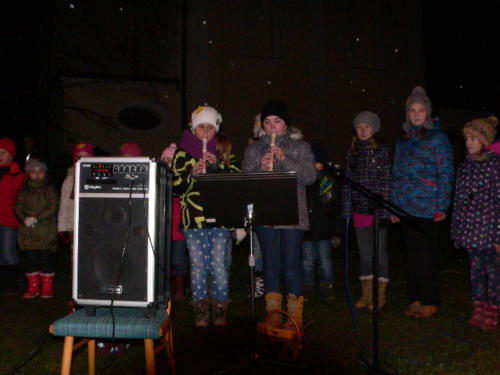 Vánoční stromeček 2014