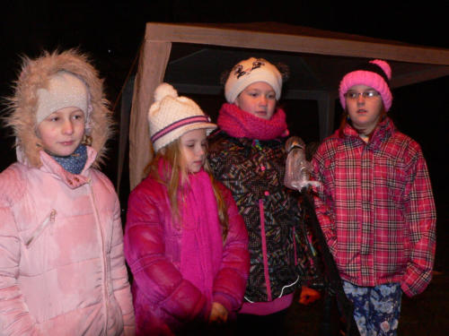 Rozsvícení vánočního stromečku 2015