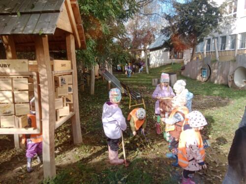 podzimni-uklid-zahradky (1)